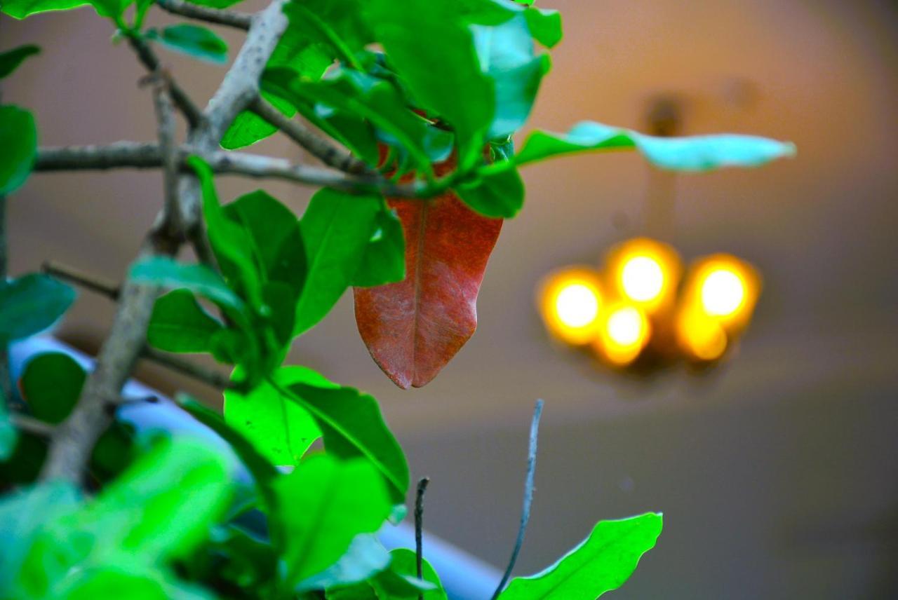 Yellow Homestay - Modern 2Bhk Ac Stay 贾巴尔普尔 外观 照片